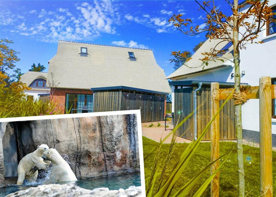 Thumbnail-4 Nächte Herbsturlaub in FeWo + Besuch des Zoos am Meer