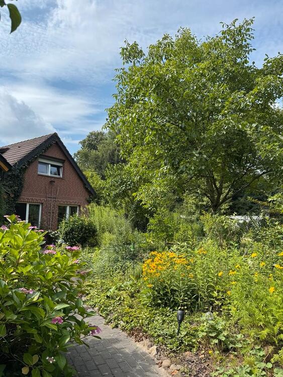 Thumbnail-Kleine Wohnung Studio im Widukindland