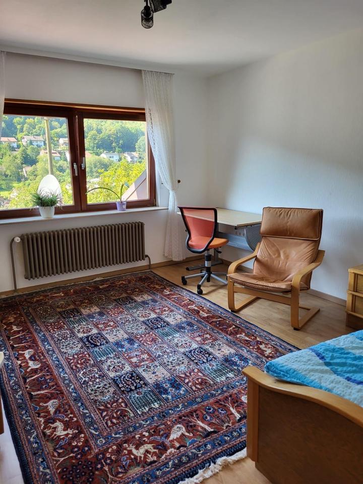 Thumbnail-Freies Zimmer in Heidelberg in einer ruhigen 2er Mädchen-WG 14m2