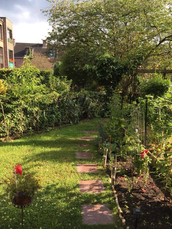 Thumbnail-Garten-Familienwohnung in der Otto-Hahn-Siedlung.