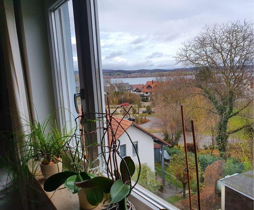 Thumbnail-2-Zimmer Wohnung auf der Insel Reichenau