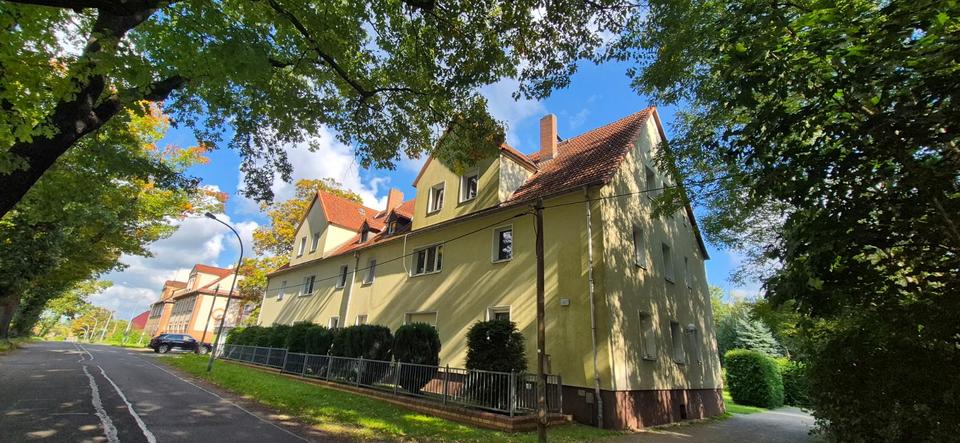 Thumbnail-2-Raum-Wohnung DG links zur Selbstrenovierung - Karl-Marx-Str. 17, Klettwitz