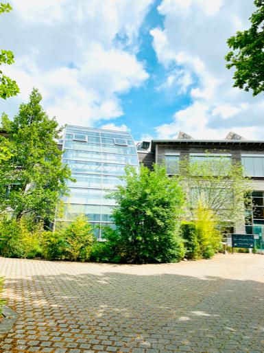 Thumbnail-Eigenes Büro - HOCHWERTIG MODERN HELL - Büro oder Praxis Fläche - All-in-Miete