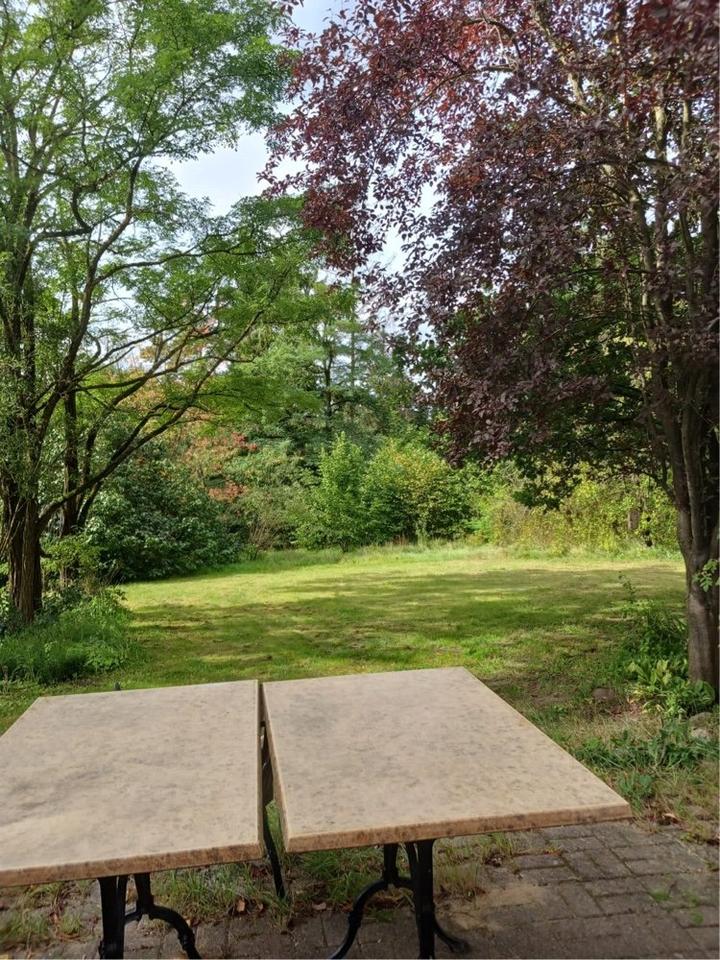 Thumbnail-Wunderschönes Grundstück mit Haus ( Bj.1900), ruhige Lage, Wald