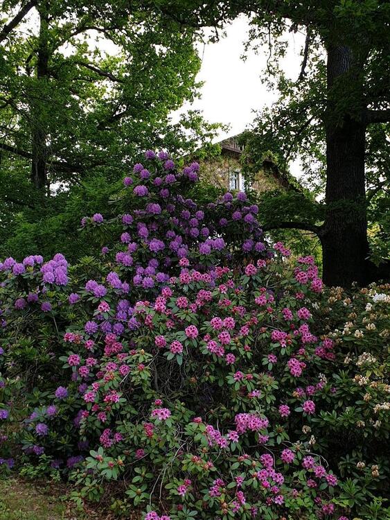 Thumbnail-Wohnung in Großweitzschen zu vermieten