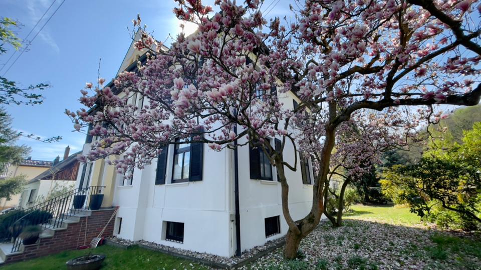 Thumbnail-Charmante Villa in ruhiger Umgebung in Bad Blankenburg