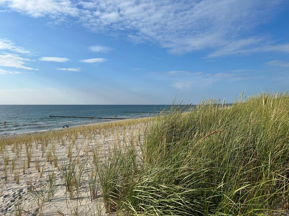 Thumbnail-Ferienwohnung auf dem Ponyhof in M-V
