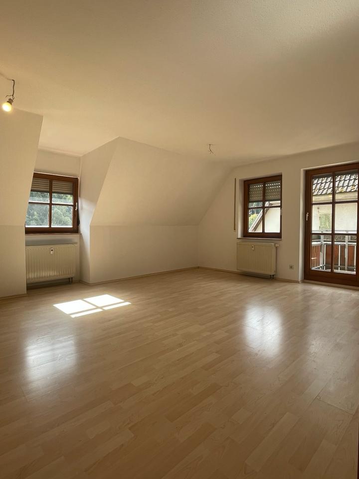 Thumbnail-Helle renovierte 2-Zimmer Wohnung in Horb-Talheim