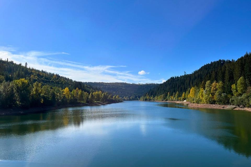 Thumbnail-Ferienhaus im Schwarzwald am See I 4 Nächte I 1-6 Personen