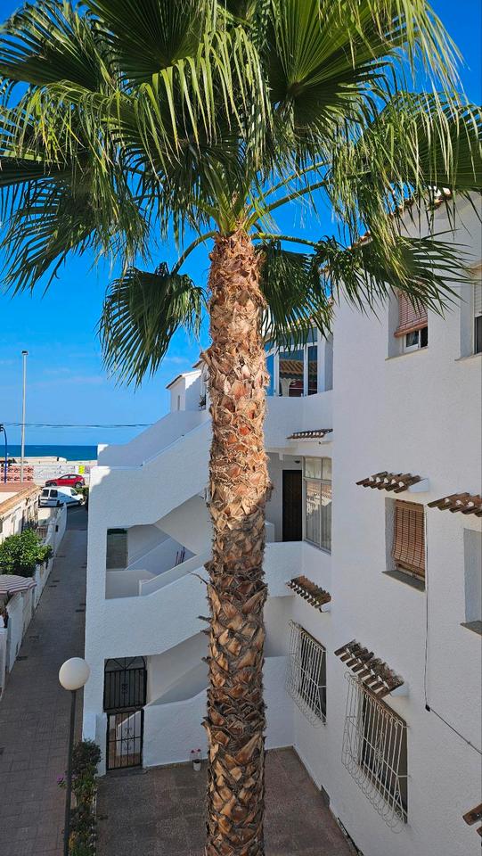 Thumbnail-Ferienwohnung in Torrevieja, El Paraiso, mit seitlichen Meerblick