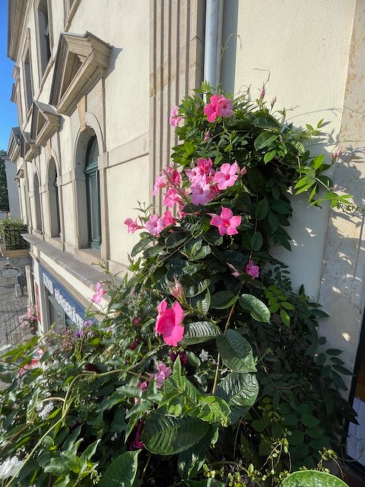 Thumbnail-Exklusive 4-Zimmer-Wohnung mit hochwertiger Ausstattung