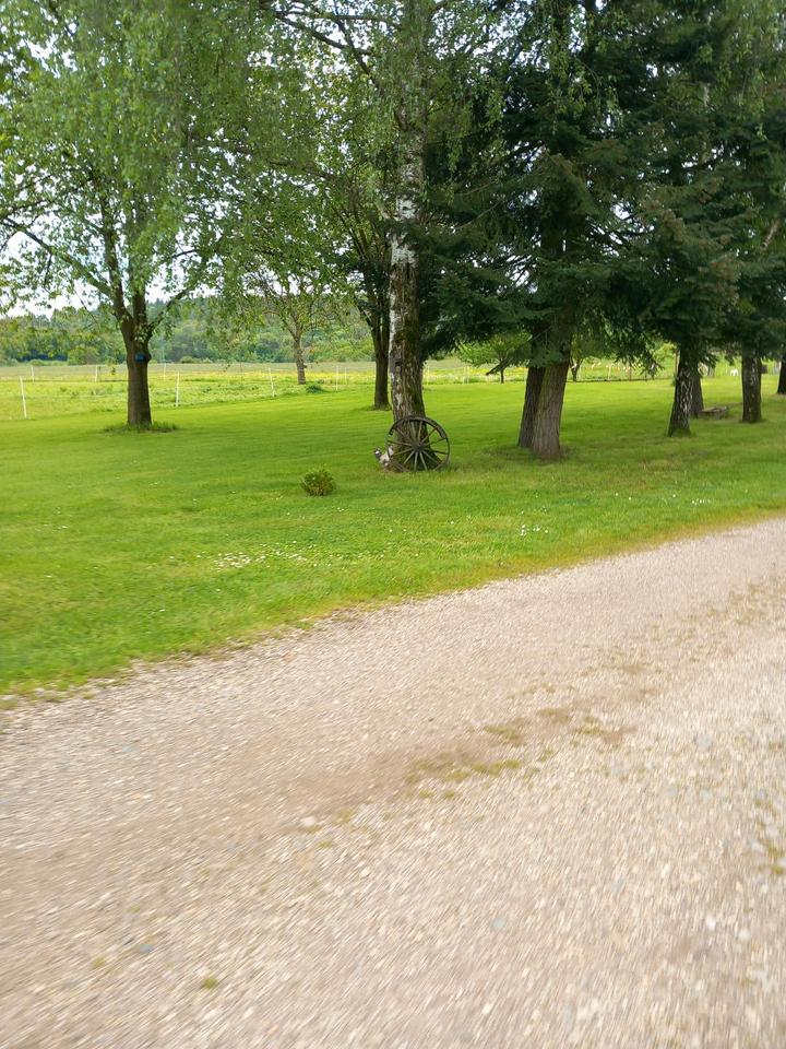 Thumbnail-Campen im Grünen