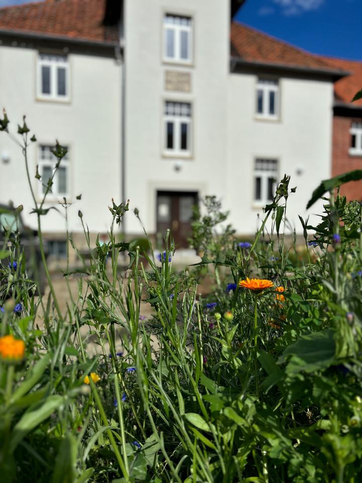 Thumbnail-Helle 1,5-Zimmer Hofwohnung in Wennigsen-Sorsum