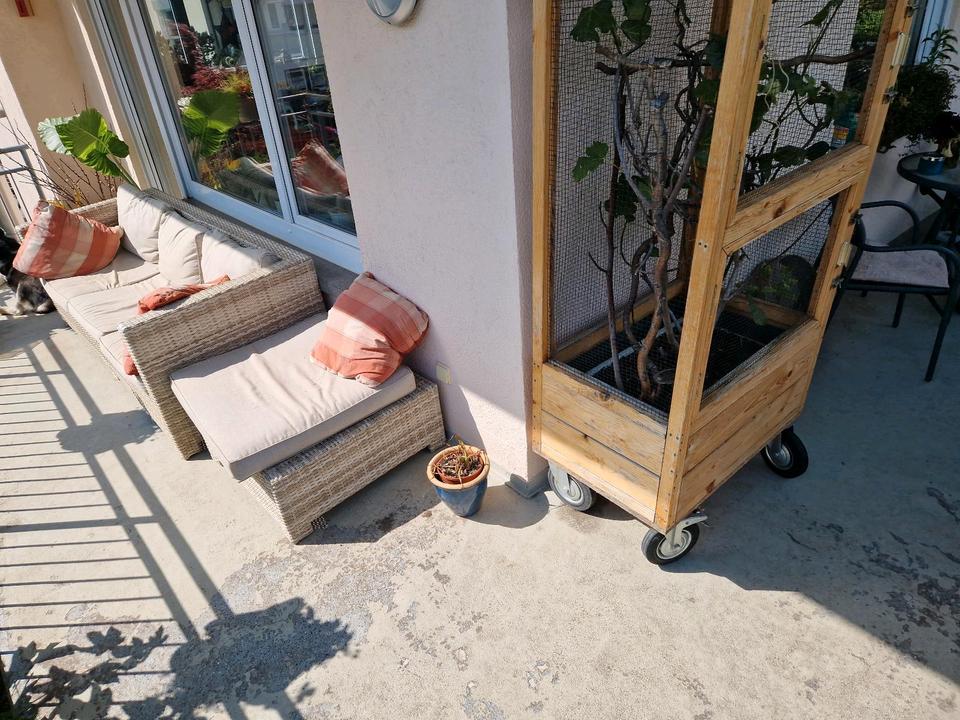 Thumbnail-Wohnungsanteil Männer WG mit Garten