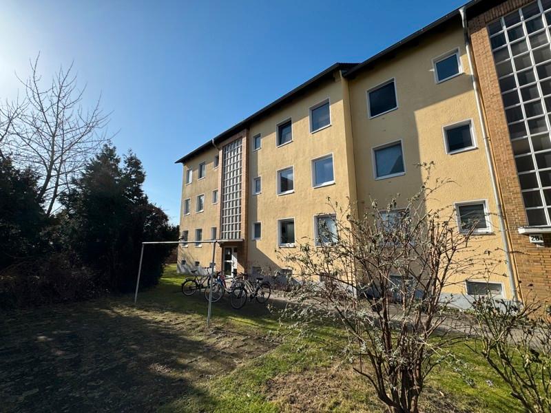 Thumbnail-Das Glück hat ein Zuhause