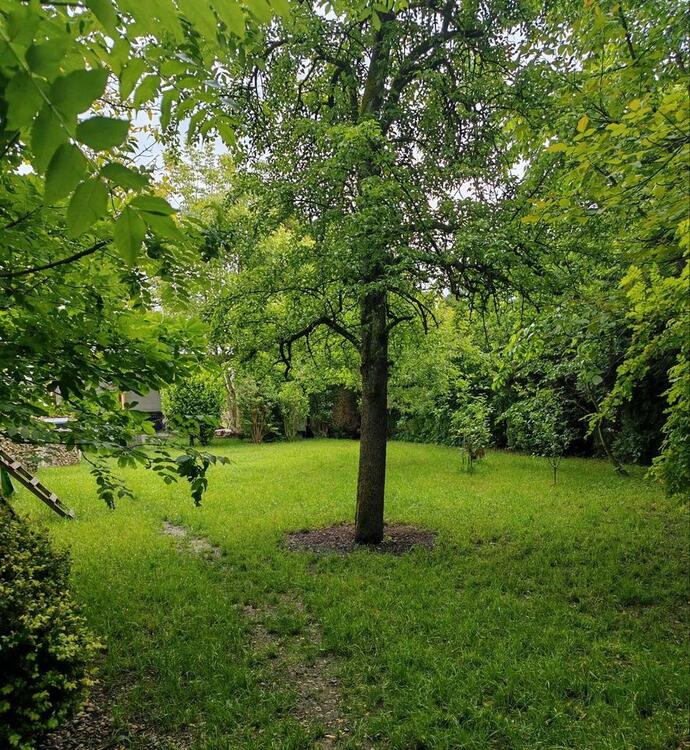 Thumbnail-EFH in ruhiger Lage