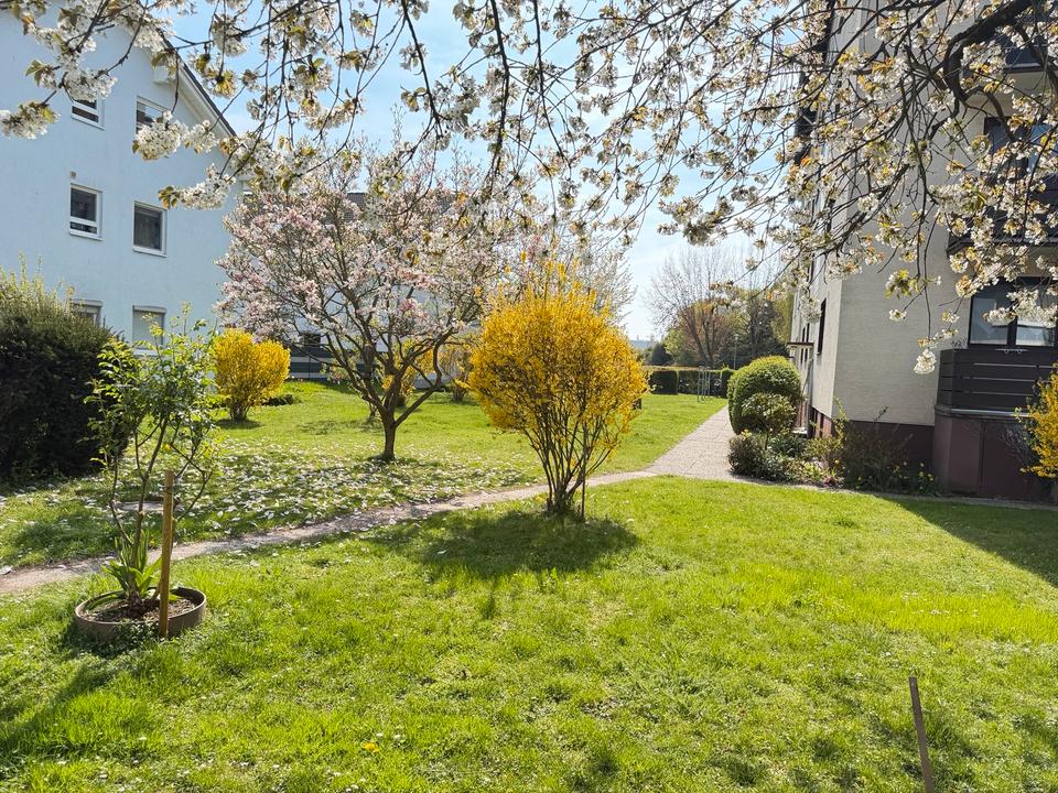 Thumbnail-Schöne helle 2-Zimmerwohnung mit Balkon in 63477 Maintal