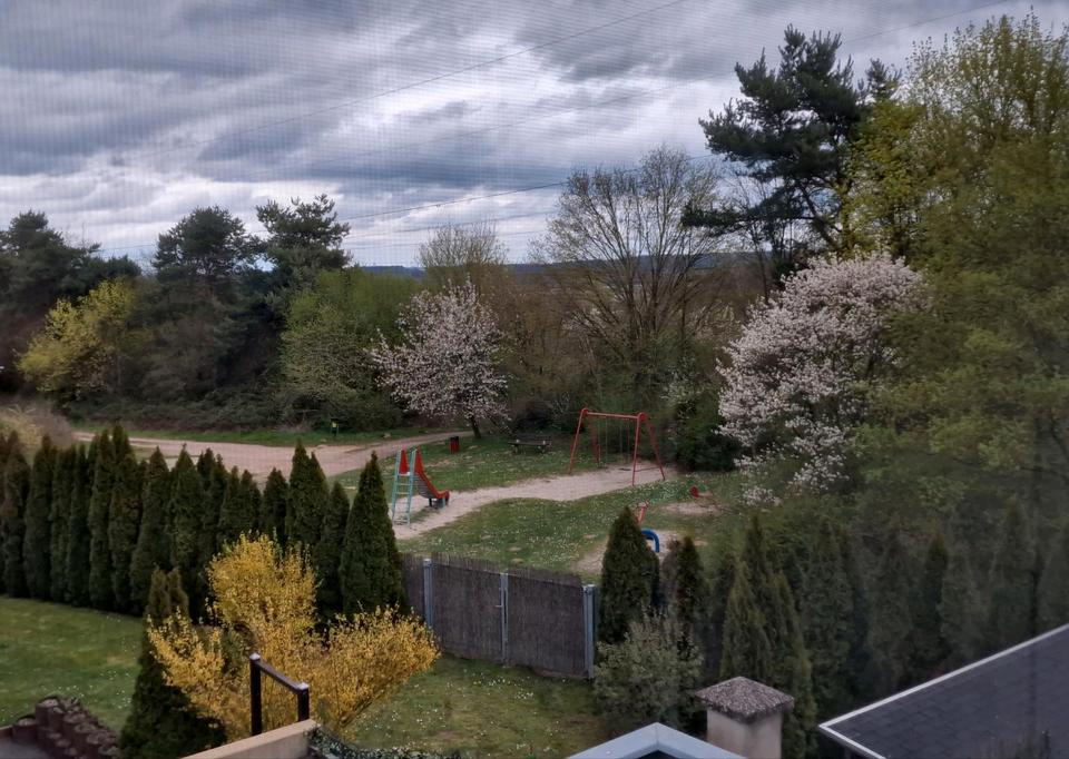 Thumbnail-Einliegerwohnung in Schöner Lage