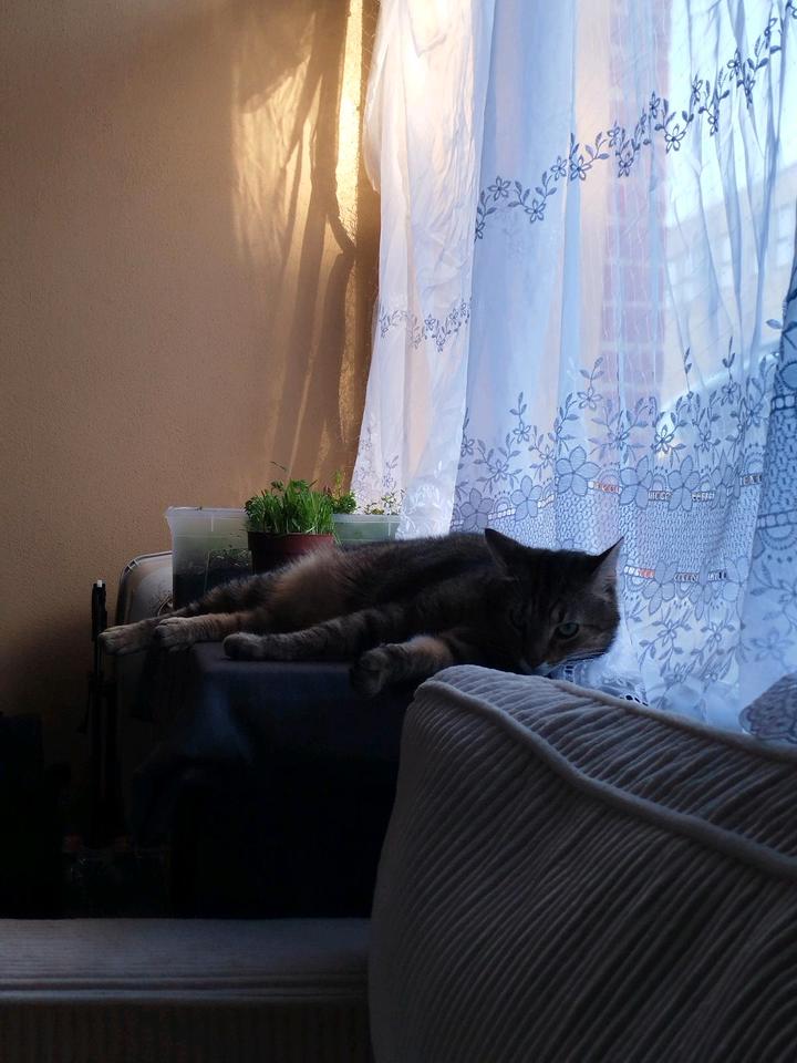 Thumbnail-Nachmieter ab April oder Mai-Helle,ruhige Wohnung mit Klinkerwand