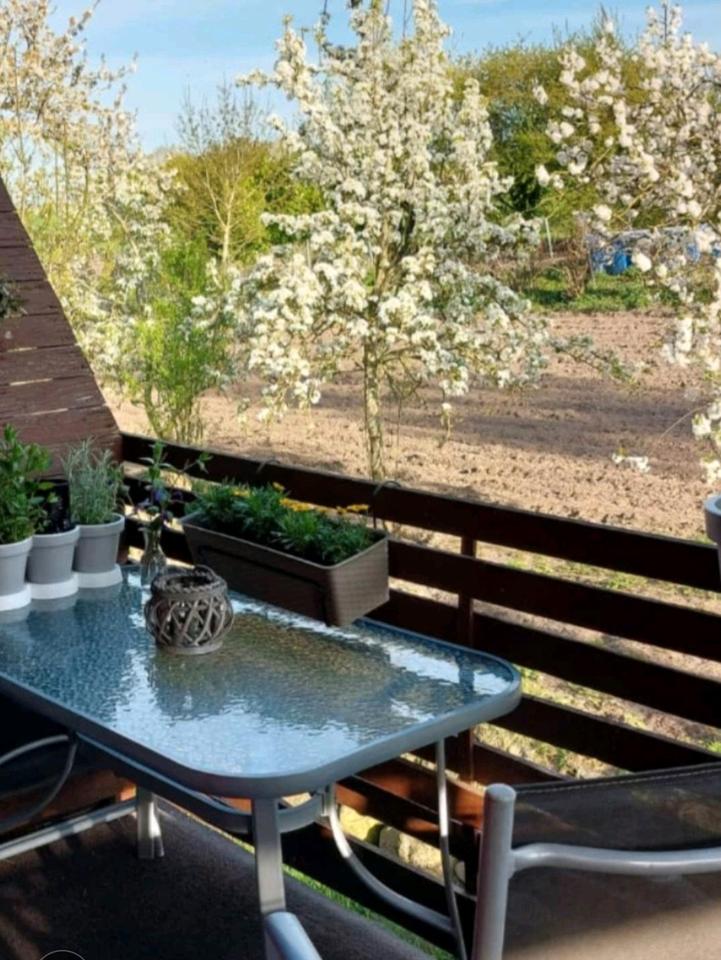 Thumbnail-Mietwohnung