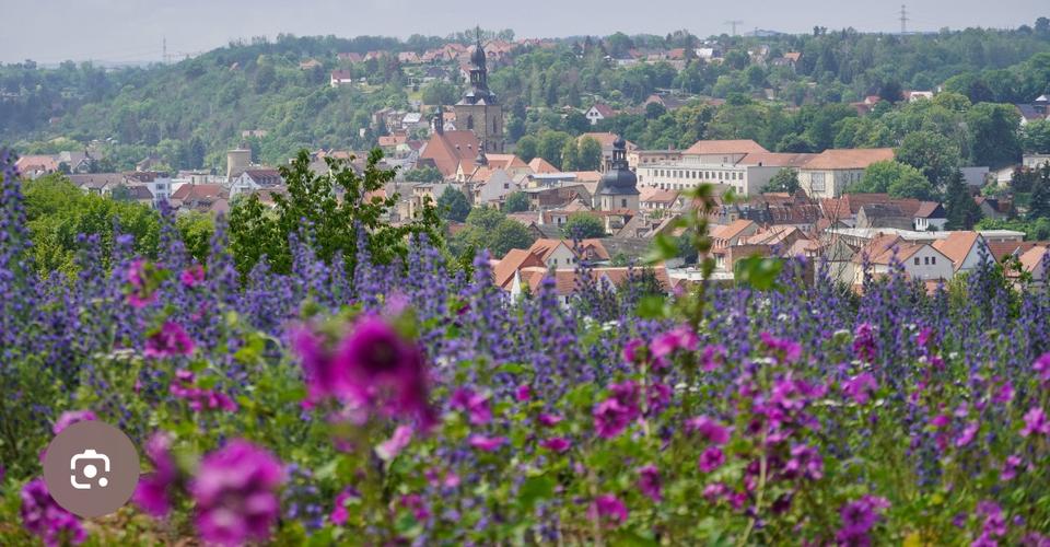 Thumbnail-Loft Licht und Weitblick über Hettstedt