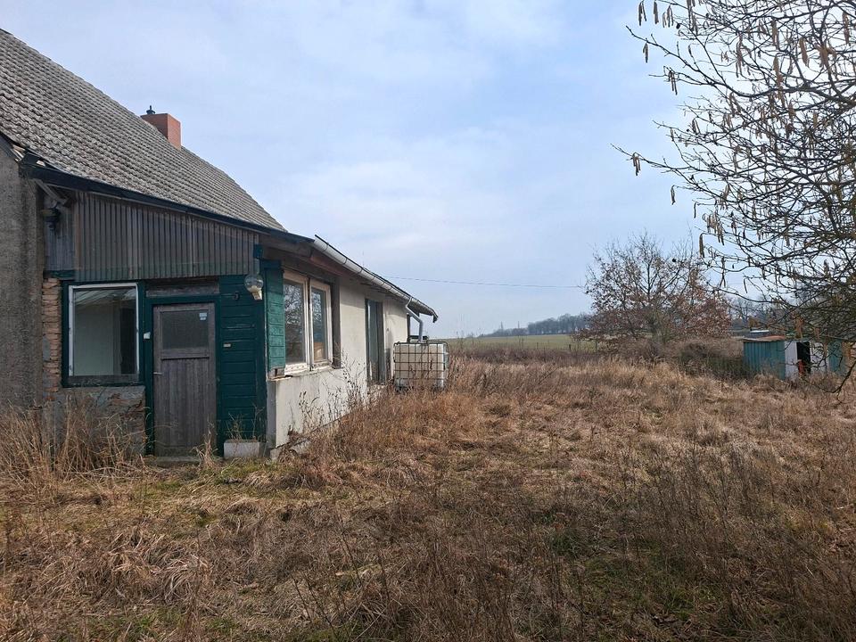 Thumbnail-haus in kröchlendorf mit Land