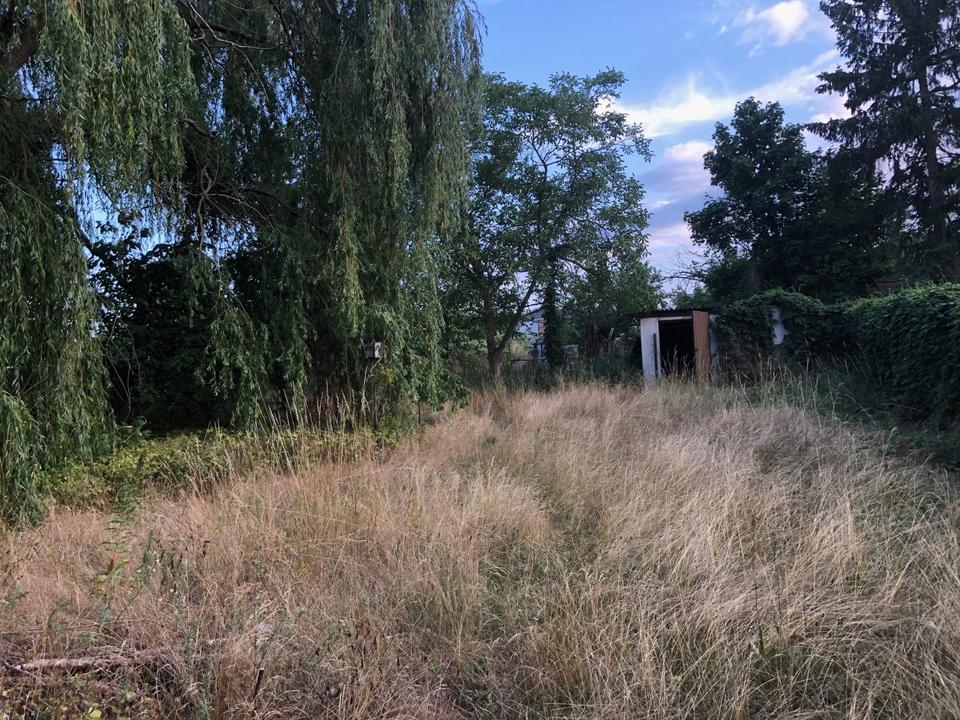 Thumbnail-Waldrand 1 - 2 Familienhaus erweiterbar ,Dachgeschoß , Keller u.