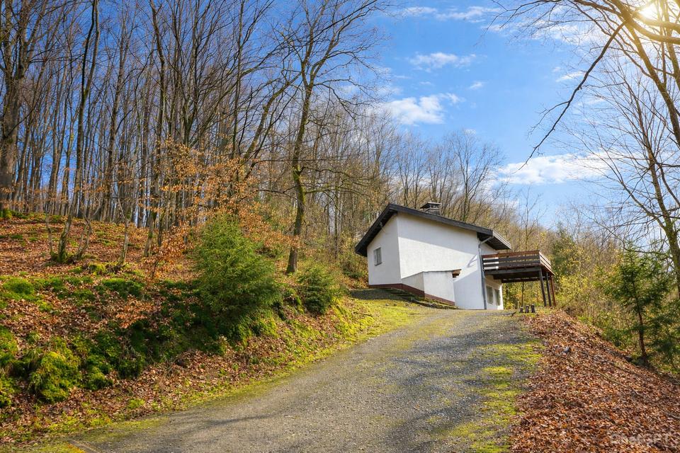 Thumbnail-Natur pur – Wohnen im eigenen Wald mit absoluter Ruhe!