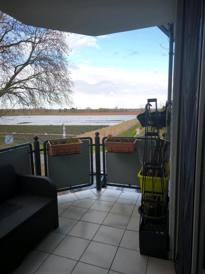 Thumbnail-2-Zimmer Wohnung in BüttelbornWorfelden