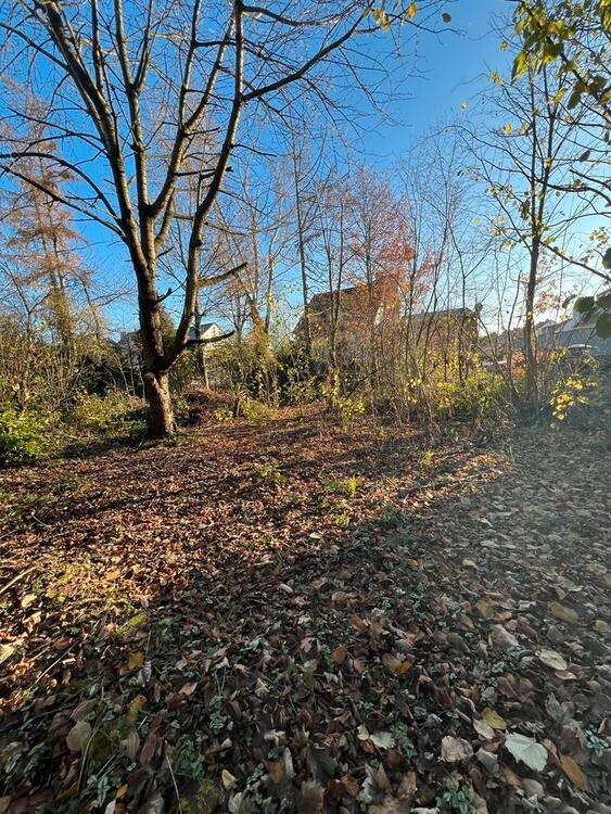 Thumbnail-2 Familienhaus auf XLL Grundstück, mit Einliegerwohnung,