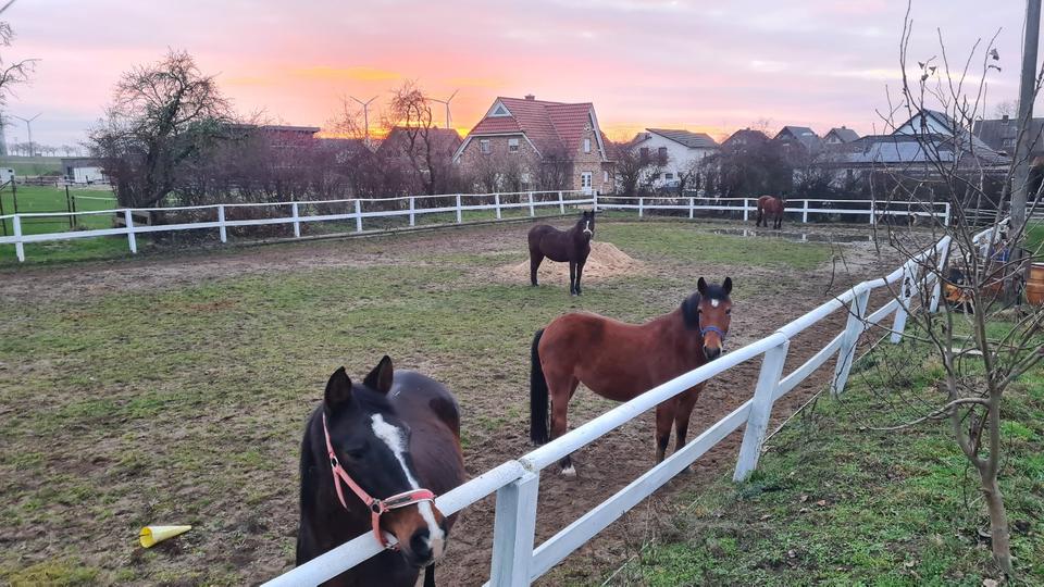 Thumbnail-Etablierte Reitanlage mit Charme und Mehrfamilienhaus