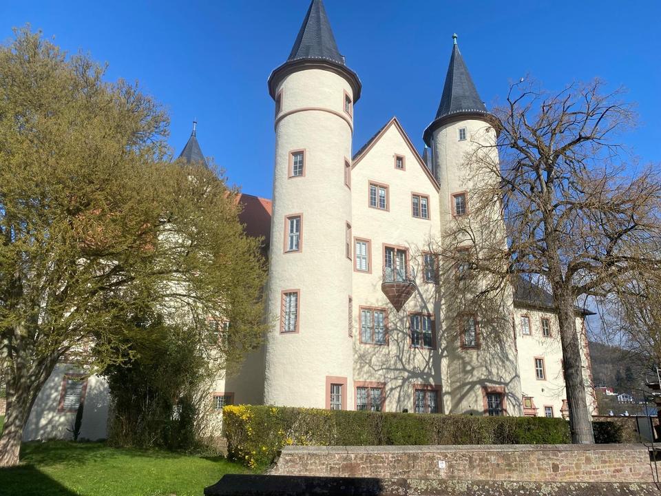Thumbnail-Großzügiges 1-Zimmer Apartment Pendler-Wohnung in Lohr-Sendelbach