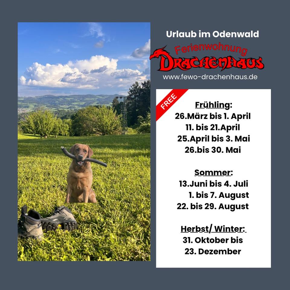 Thumbnail-Urlaub mit HundFerienwohnung mit Sauna