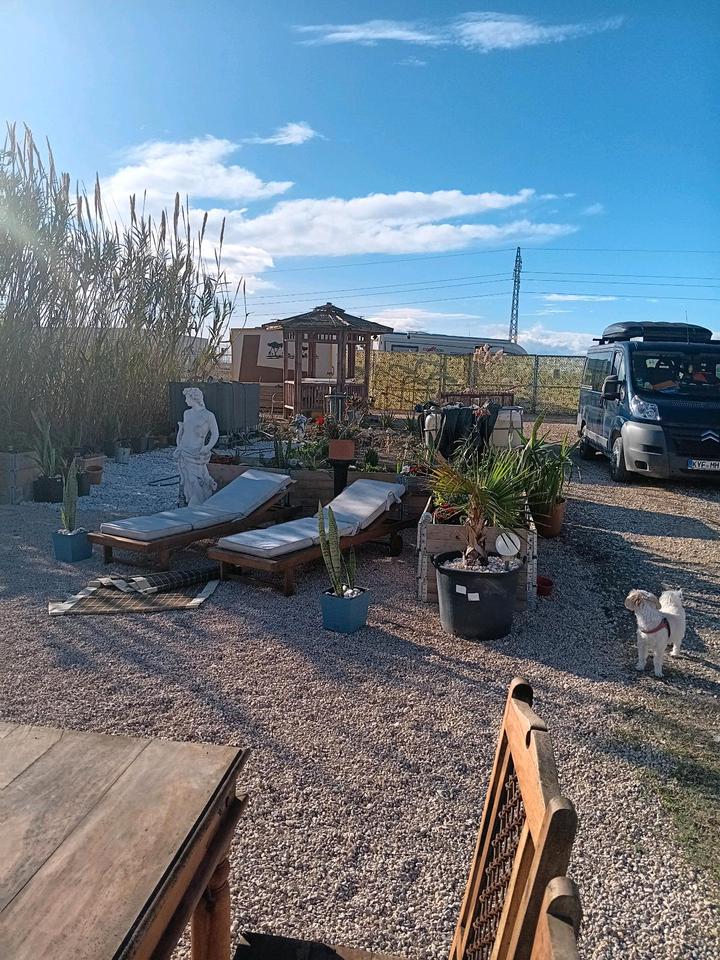 Thumbnail-Wohnmobilstellplatz privat La Marina Alicante