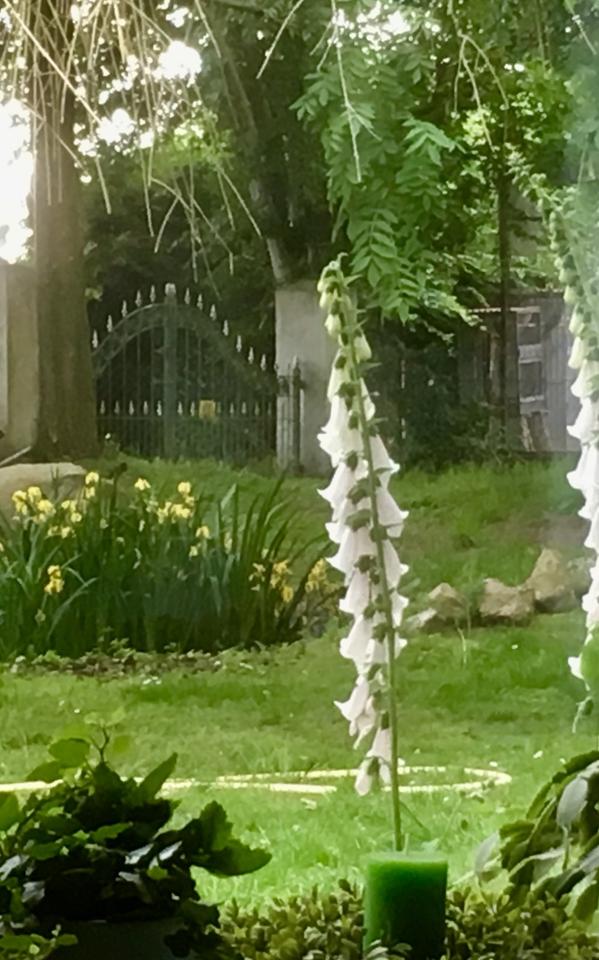 Thumbnail-Helle 2- Zimmerwohnung & Abstellraum in Neustadt OT Hagen