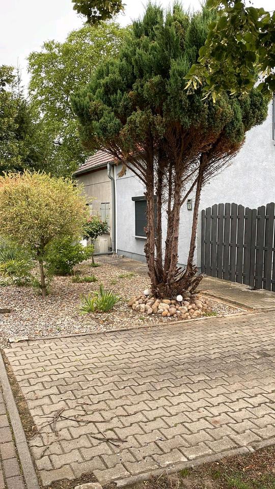 Thumbnail-Doppelhaushälfte Provision frei