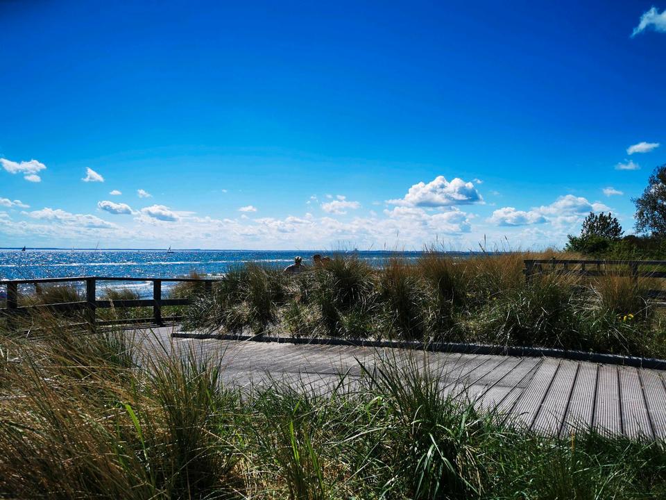 Thumbnail-Ferienwohnung mit Angelteich Ostsee Angeln Bauernhof Kindee