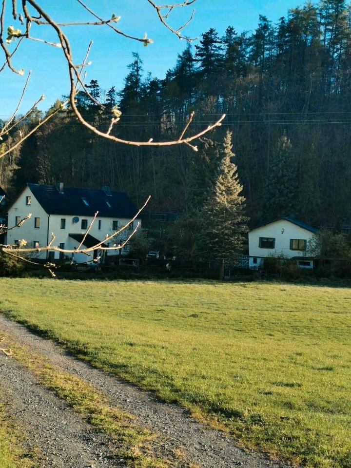 Thumbnail-Komplett saniertes Mehrgenerationenhaus