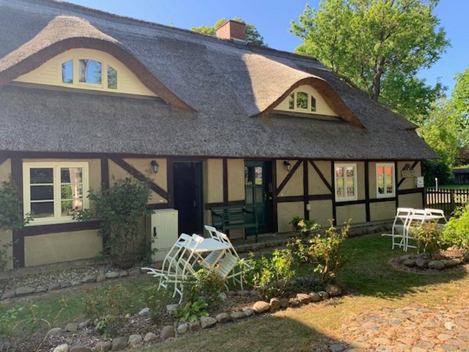 Thumbnail-FeWo Rügen gegenüber Hiddensee, ruhig, sauber, günstig, nett
