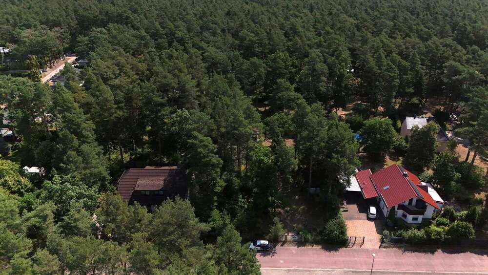 Thumbnail-Wohnen im Wald: Idyllisches Baugrundstück nahe des Muldestausees