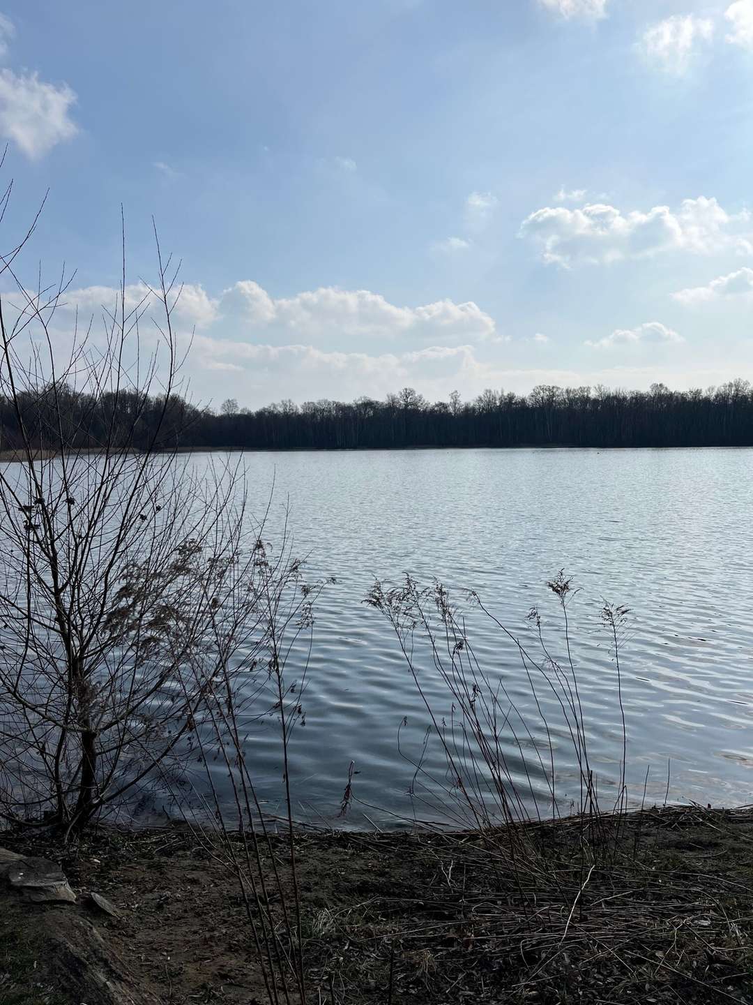 Umgebung Nymphensee