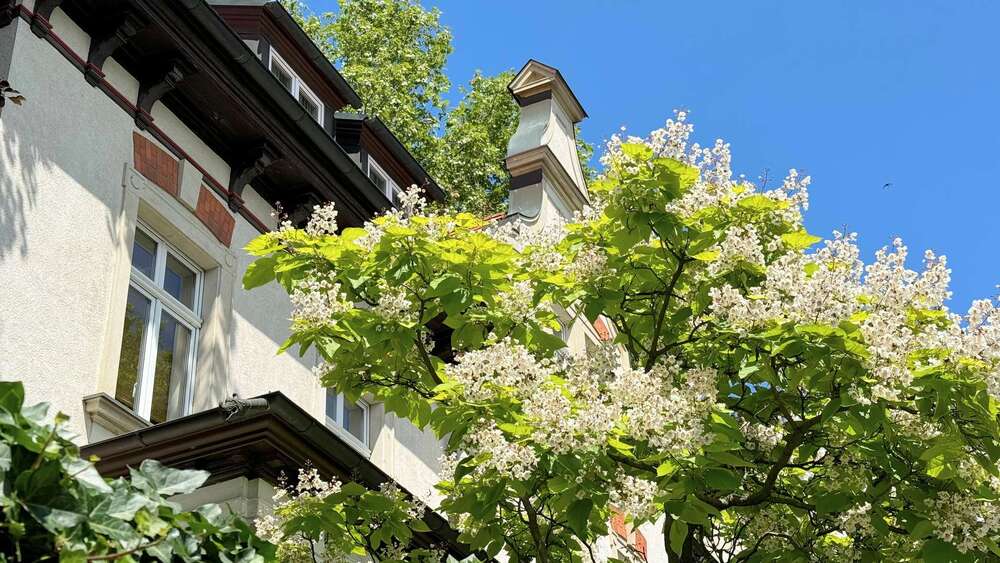 Thumbnail-+++ Einzelstück in Bestlage: Denkmalgeschützte Jugendstilvilla mit Grünanlage und Stellplätzen +++