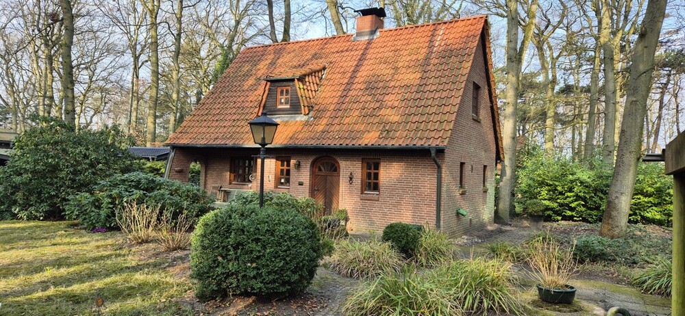 Thumbnail-Heidkate der Traum am Meer