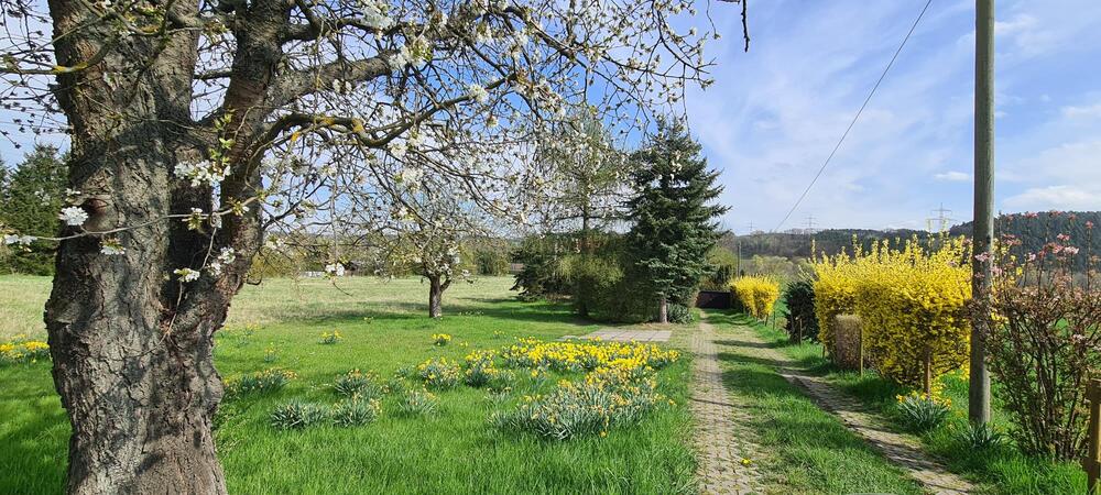 Thumbnail-Einfamilienhaus in Alleinlage mit großem Grundstück