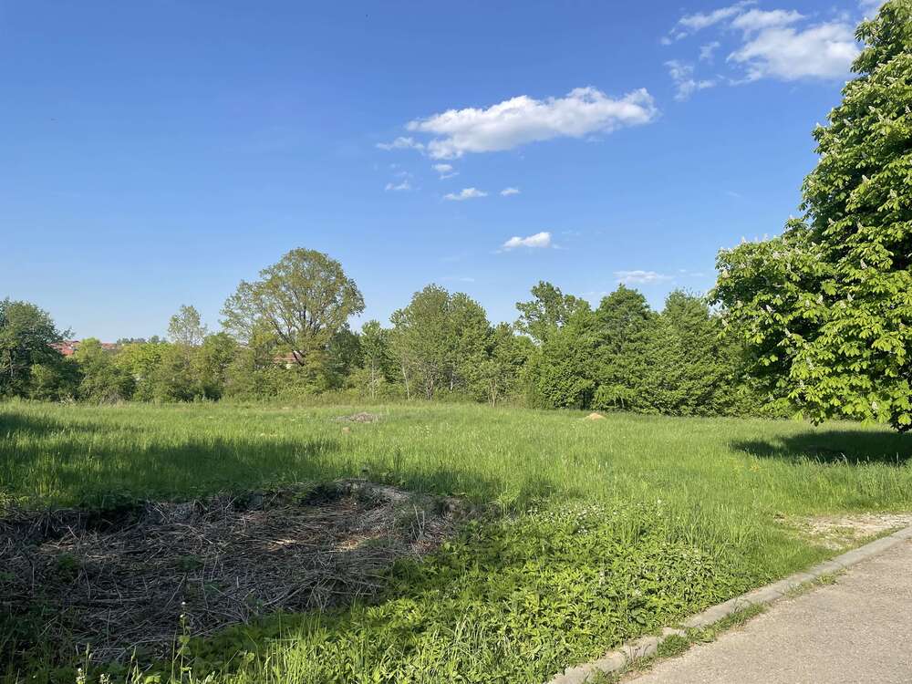 Thumbnail-Grundstück zu verkaufen in Wallhausen 230.000,00 € 4545 m²