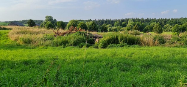 Thumbnail-Ganz nah am Tollensesee