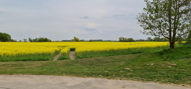 Thumbnail-RIESIGES FREIZEITGRUNDSTÜCK