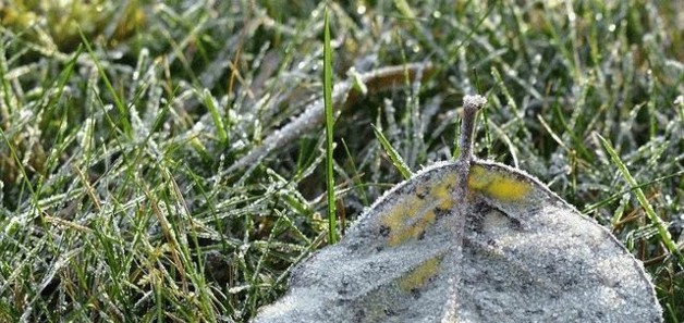 Thumbnail-Grundstück zu verkaufen