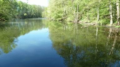 Thumbnail-Haus 60m2 generalsaniert mit eigenem See