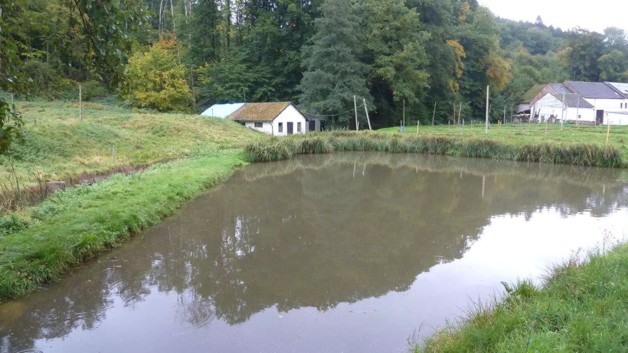 Thumbnail-Traumhafte ruhige Alleinlage mit Teichen